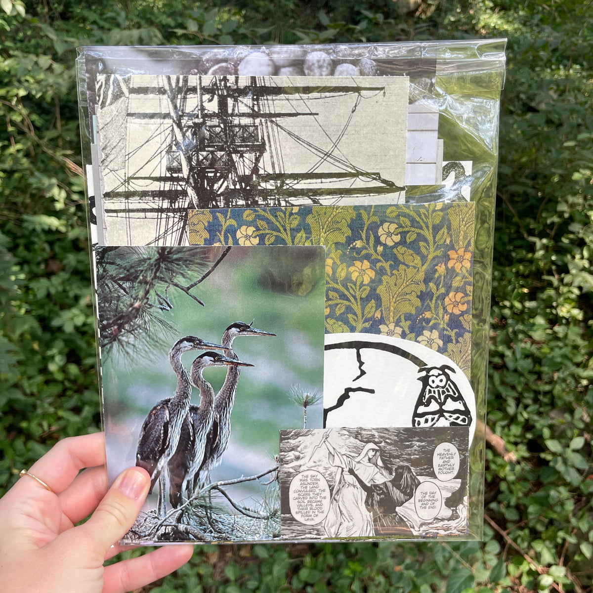 A hand holds a clear plastic bag containing a collage of printed artwork and papers, including a heron bird print, a ship illustration, floral patterned paper, and a black-and-white comic-style page, against a background of green outdoor foliage.
