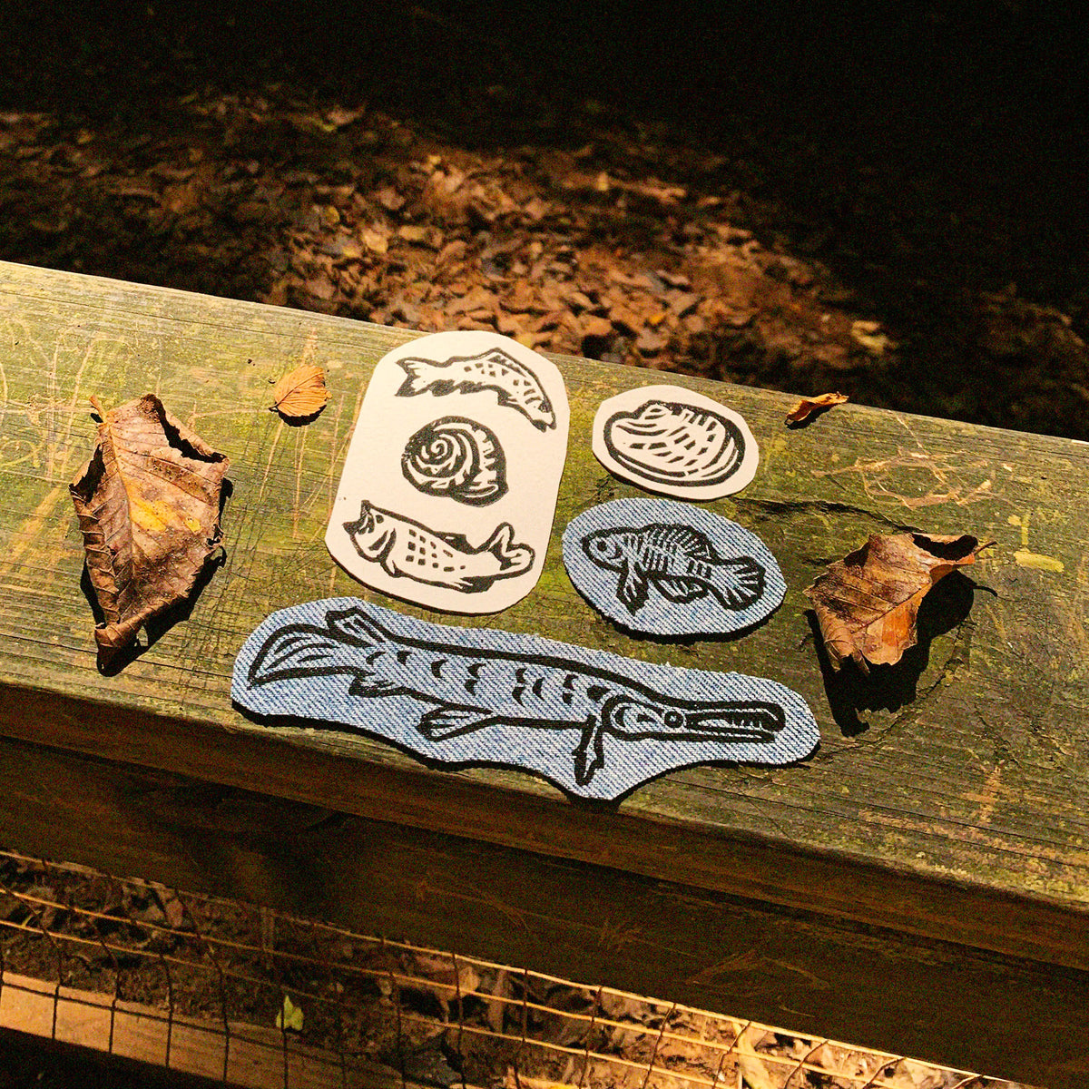 Four iron-on denim and white patches featuring black ink linoleum block prints of a mollusk, a snail shell with a trout and a bass, a gar, and a pygmy sunfish.
