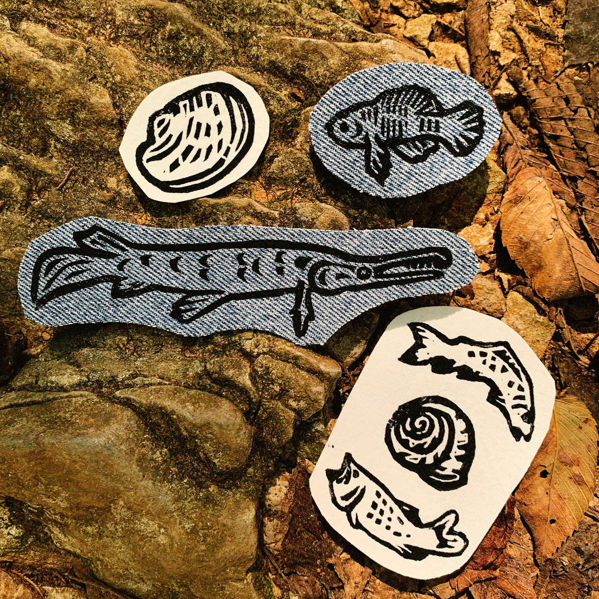 Four iron-on denim and white patches featuring black ink linoleum block prints of a mollusk, a snail shell with a trout and a bass, a gar, and a pygmy sunfish.