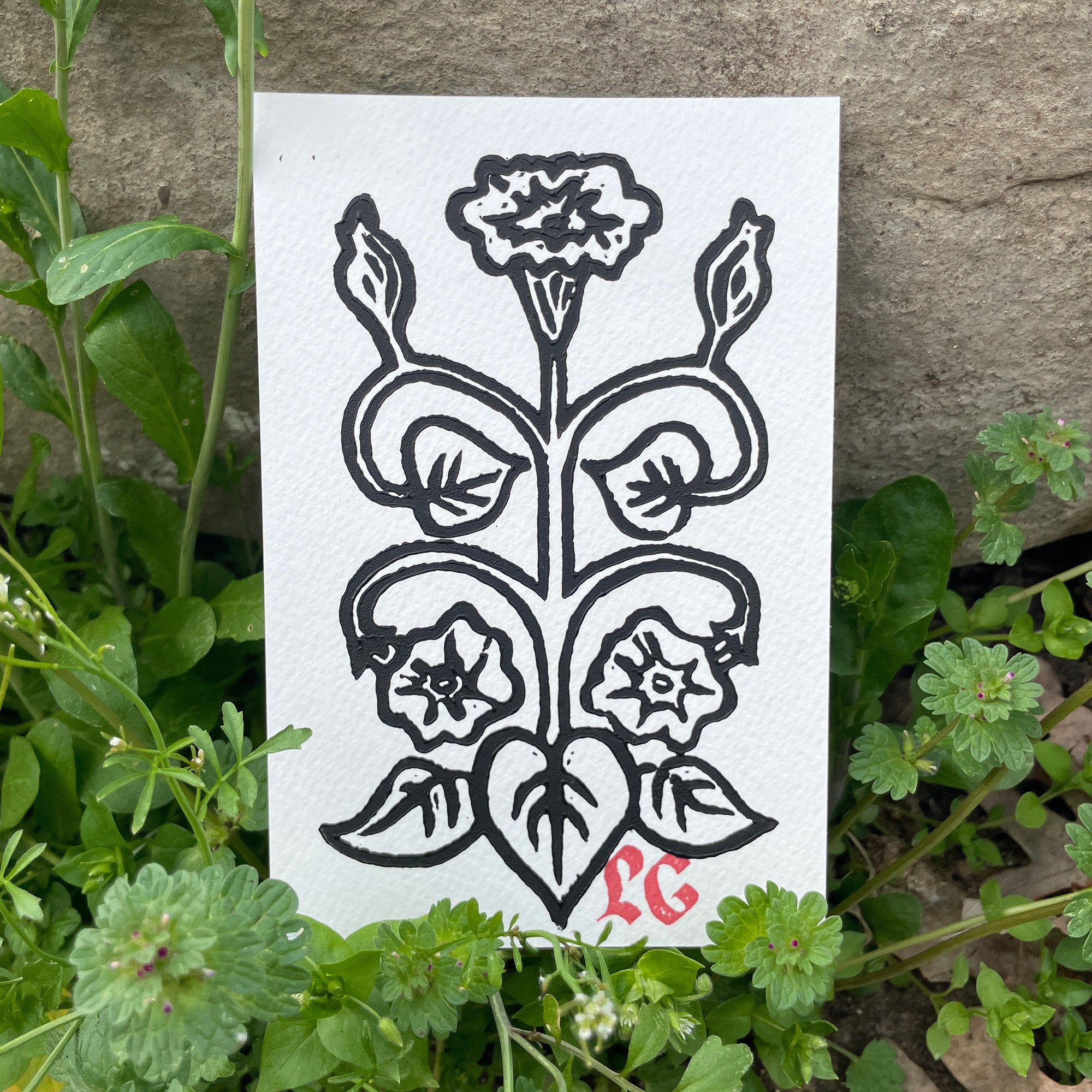 Morning Glory Art Print