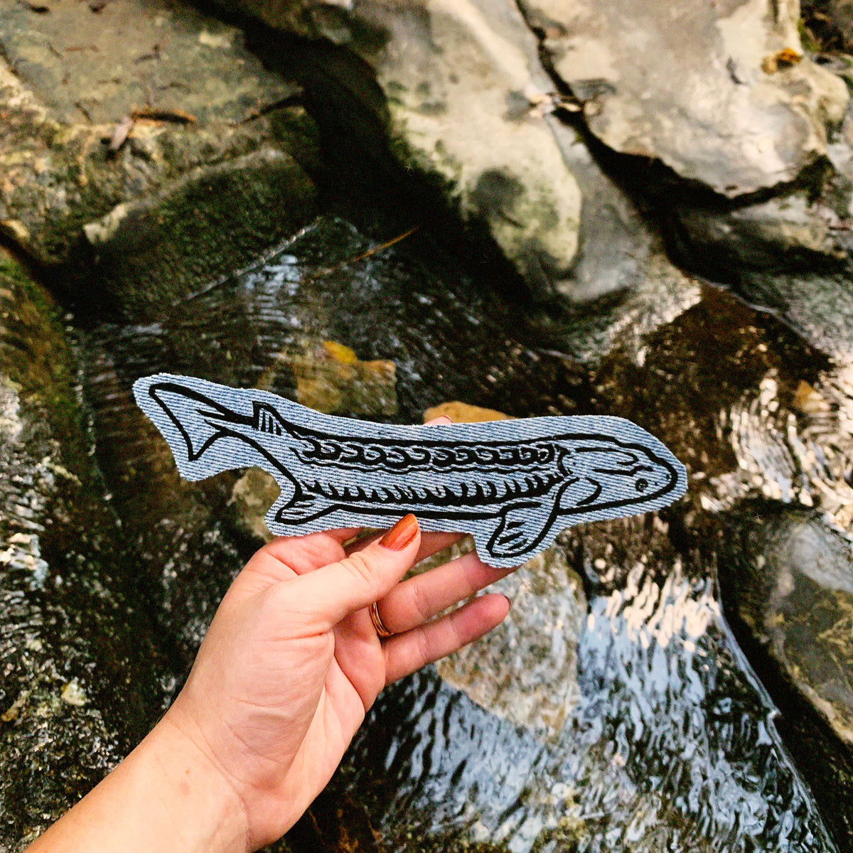 A hand holds a denim iron-on patch shaped like a fish with black line art, set against a natural outdoor background of a rocky stream.